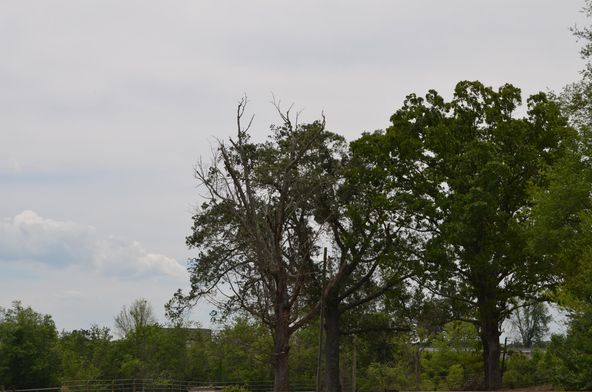 Cook Rd: Cook Rd, Crossville, TN 38555